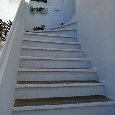 Casa Da Umbria Bed & Breakfast Одемира Екстериор снимка