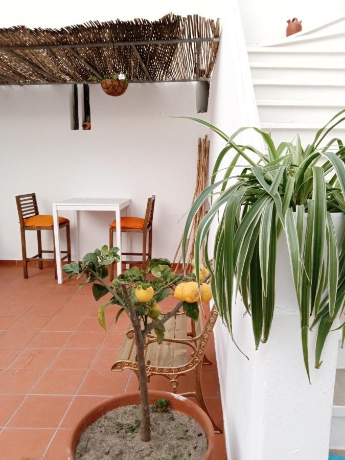 Casa Da Umbria Bed & Breakfast Одемира Екстериор снимка